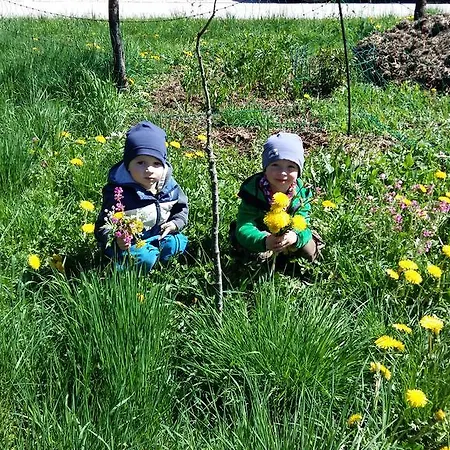 Weinbachbauer - Urlaub Am Bauernhof *