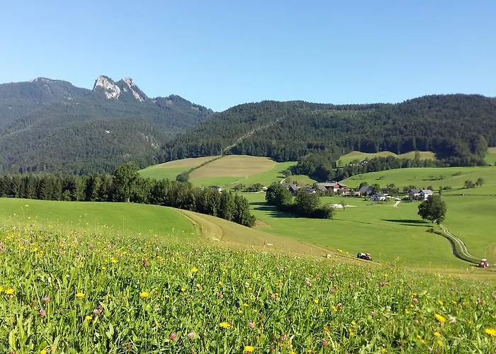 Séjour à la ferme Weinbachbauer - Urlaub Am Bauernhof *