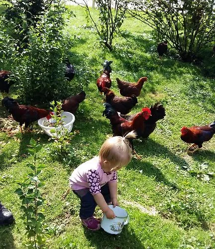 Weinbachbauer - Urlaub Am Bauernhof * Saint Wolfgang