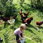 Weinbachbauer - Urlaub Am Bauernhof * Saint Wolfgang
