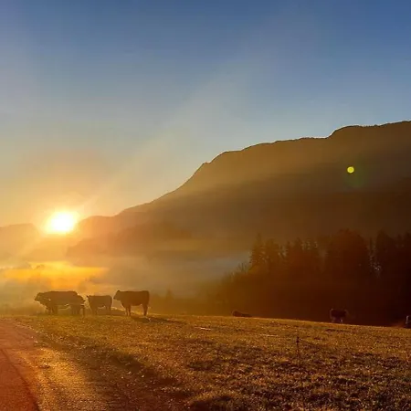 Weinbachbauer - Urlaub Am Bauernhof * Saint Wolfgang
