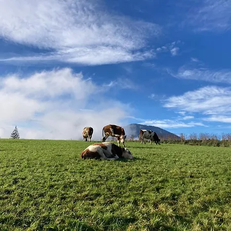 Weinbachbauer - Urlaub Am Bauernhof Lantgård *