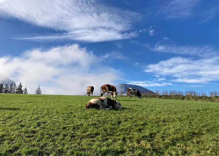 Weinbachbauer - Urlaub Am Bauernhof Lantgård *