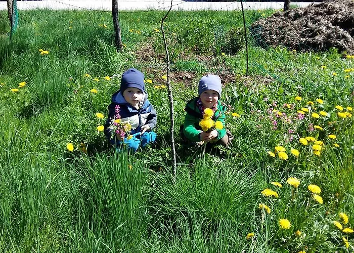 Weinbachbauer - Urlaub Am Bauernhof *